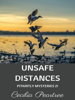 cover image of Unsafe Distances